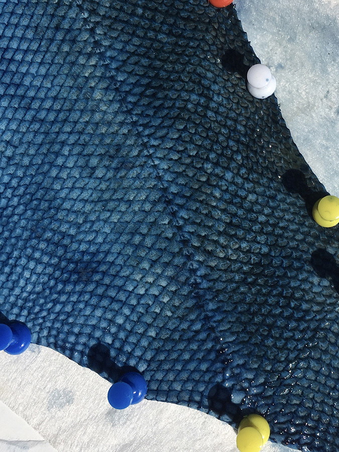 Embree indigo skin