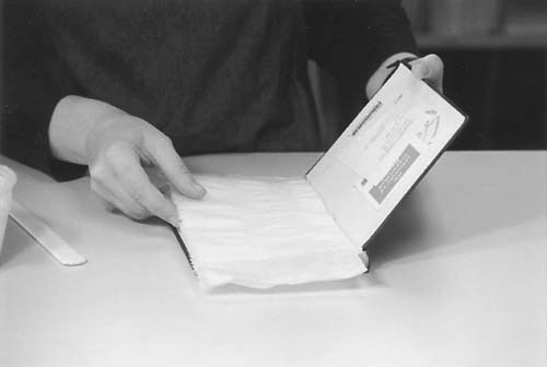 8-2.jpg (18560 bytes)