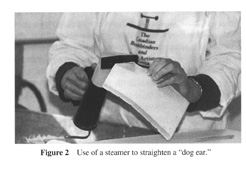 Using a steamer to straighten a dog ear