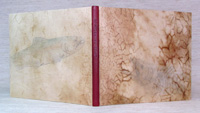 Opus Salvelinus